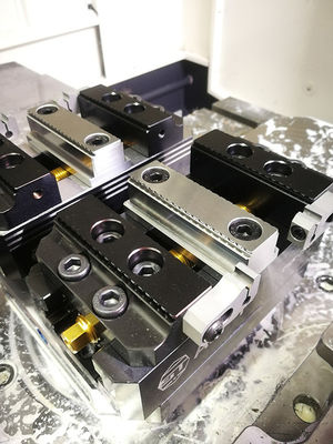 Oprawy osiowe 3 kg, zakres mocowania 50 mm, 4-osiowe imadło ze stali nierdzewnej